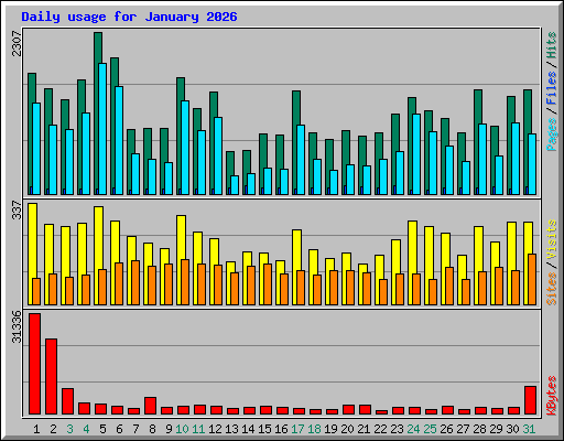 Daily usage for January 2026
