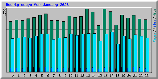 Hourly usage for January 2026